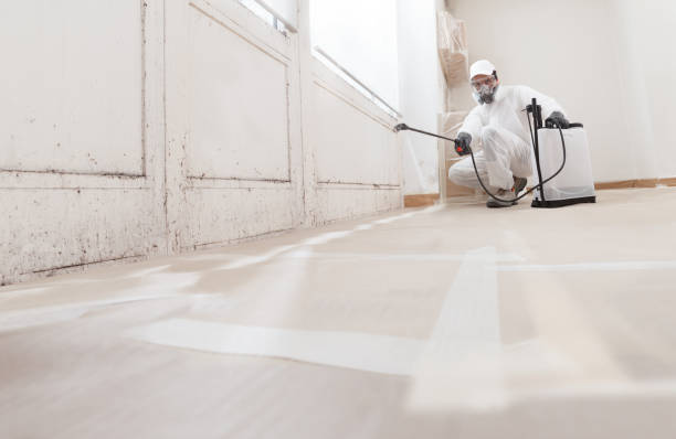 24/7 Emergency Mold Remediation experts in Maplewood, MN